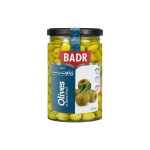 شور زیتون بدون هسته معمولی بدر ۶۳۰ گرم